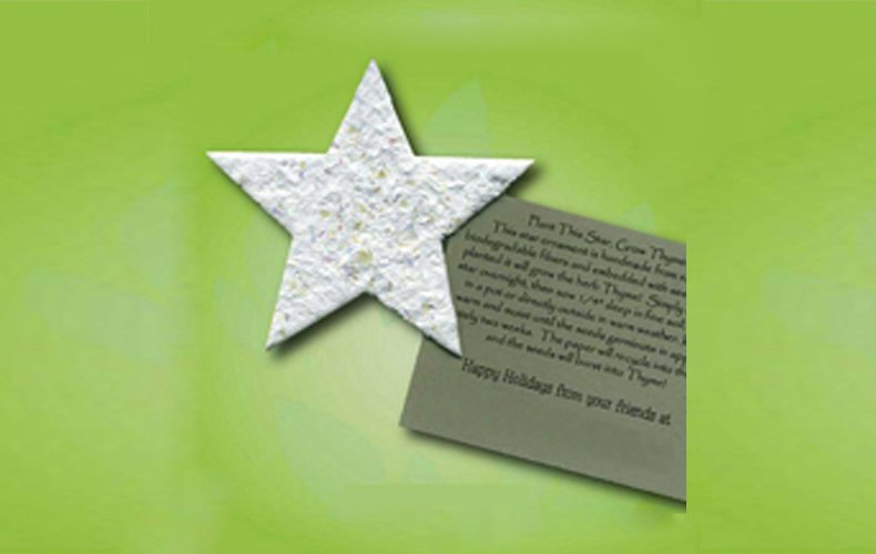 Star Seeded Ornament